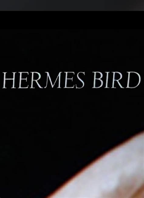 hermes bird 1979 sex|Hermes Bird (1979): Where to Watch and Stream Online.